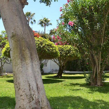 Apartamentos Don Quijote Playa del Inglés Esterno foto