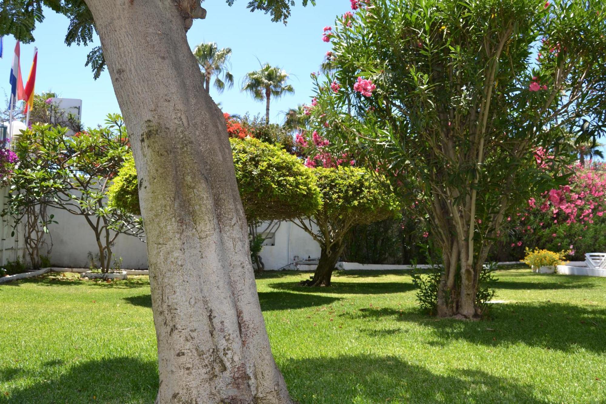 Apartamentos Don Quijote Playa del Inglés Esterno foto